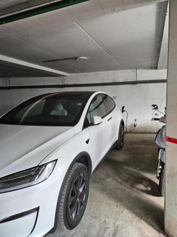 Aleksei Apartmani Belgrado Esterno foto
