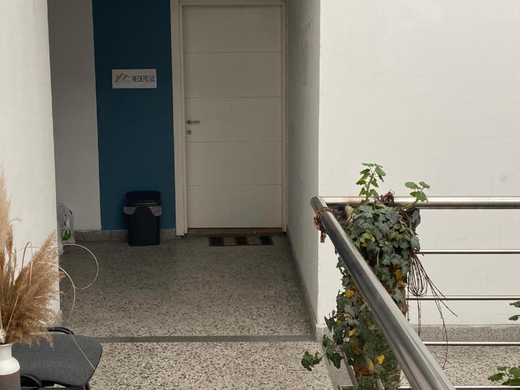 Aleksei Apartmani Belgrado Esterno foto